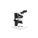 Echte Modularität - Leica M60 erweitert mit der Leica IC80 HD Mikroskopkamera
