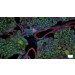 Fluoreszierende Zellen der Niere einer Ratte durch das Axioscope 5