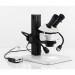 Leica Stereomikroskop M50 mit Auflichtstativ und LED1000 Beleuchtung