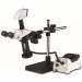 Leica Z6 APO - seitlich mit Mikroskopkamera, Stativ und externer Kaltlichtquelle
