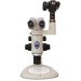 Kamera-Adapter am Stereomikroskop