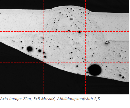 Abbildung 1.1Axio Imager.Z2m, 3x3 MosaiX, Abbildungsmaßstab 2,5