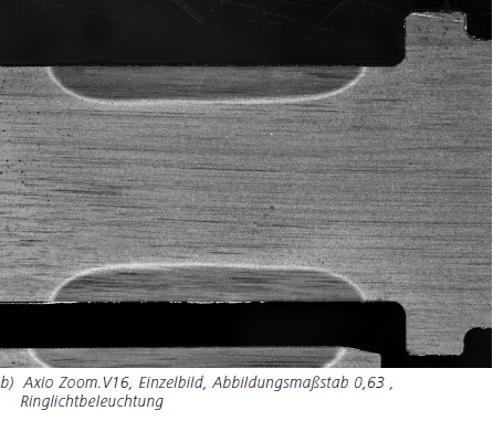 Abbildung 3b b) Axio Zoom.V16, Einzelbild, Abbildungsmaßstab 0,63 ,Ringlichtbeleuchtung